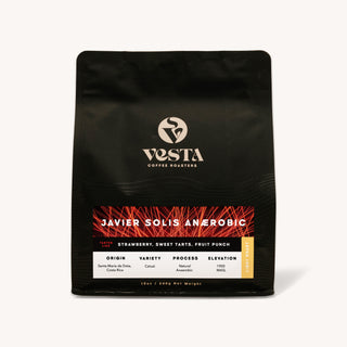 Javier Solis - Anaerobic Natural