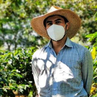 Ayarza Natural - Guatemala